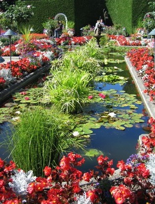 UϽ@The Butchart Gardens-Sunken Garden