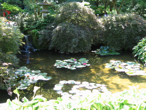 UϽ@The Butchart Gardens-Sunken Garden